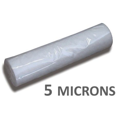 Filtre de rechange pour pompe de filtration, 5 microns (sortie d'eau).