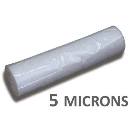 Filtre de rechange pour pompe de filtration, 5 microns (sortie d'eau).