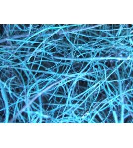 Primary filters for air negative filtering system Predator 600, for asbestos removal.