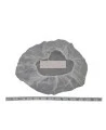 Disposable caps (100) 19 in.