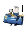 Inlet filter: 40 microns made of bronze and steel for Allegro low pressure ambient pump, model RA9806, sold by unit. 