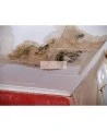 Détachant Mold Stain Remover en deux étapes à base d’acide peracétique pour décontamination de moisissures. Vendu par ensemble.