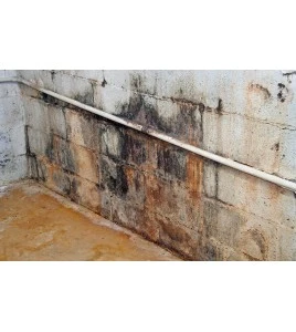 Détachant ultra-puissant MMR à base d’hypochlorite de sodium pour éliminer les taches de moisissures. 1 gal US/bouteille