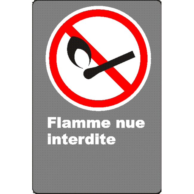 Affiche CSA « Flamme nue interdite » de langue française : formats variés, matériaux divers, d’autres langues & options Affiche CSA « Flamme nue interdite » de langue française : formats variés, matériaux divers, d’autres langues & options