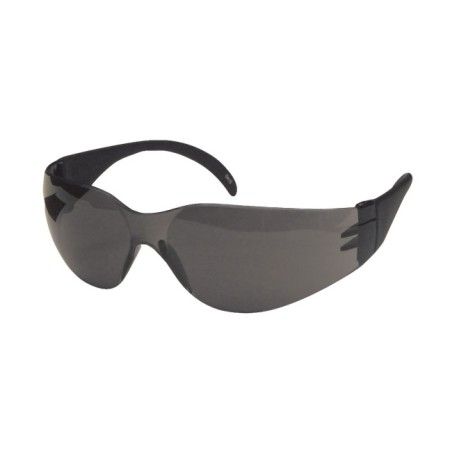 Lunette de sécurité Cee Tec de Dentec Safety lentille de polycarbonate grise conforme CSA