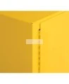 Flammable liquids storage cabinet, 45 US gallons (171 L), meets ULC