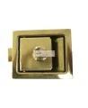 Replacement lock for outdoor fire cabinet EC11, EC12 and EC13