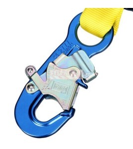 Longe double en Y amortisseur de choc en sangle extensible DBI-SALA 3M 6 pi 1246591C