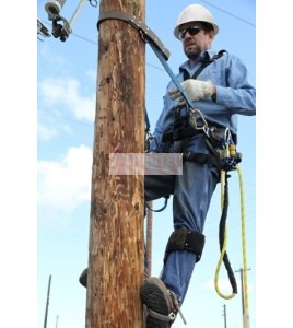 Rope lanyard for transmission poles Cynch-Lok DBI-SALA 3M 8 ft 1204058