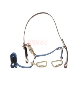 Sangle pour poteaux de distribution Cynch-Lok DBI-SALA 3M 6 pi 1204075