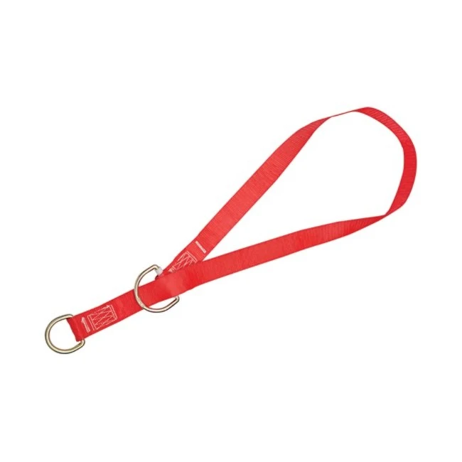 Protecta 3M Polyester Anchor Sling 5900581, 16 ft