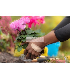 Main portant un pansement Nexcare Duo DSA-20-CA en jardinant