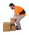 Zenith back support belt, SEE905/SEE906/SEE907/SEE908/SEE909