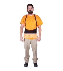 Zenith back support belt, SEE905/SEE906/SEE907/SEE908/SEE909