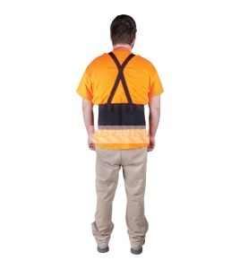 Ceinture lombaire Zenith, SEE905/SEE906/SEE907/SEE908/SEE909